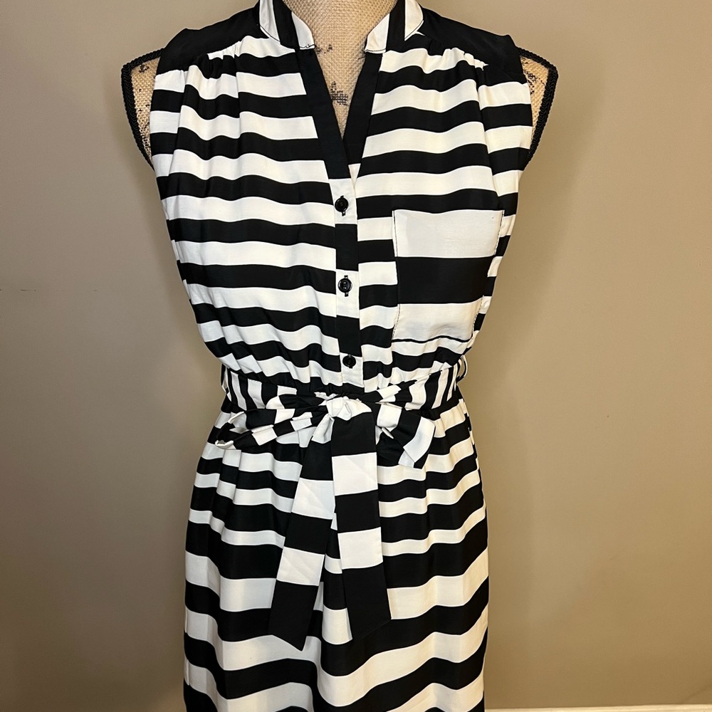 Charming Charlie Dress